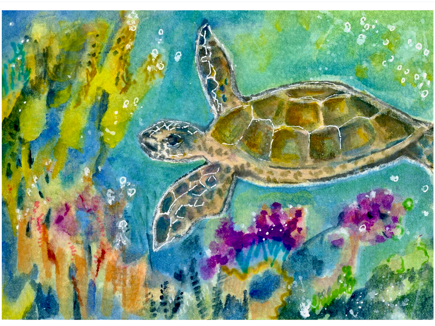 "Tertle in the Sea Garden", Paper Print, Sea Life