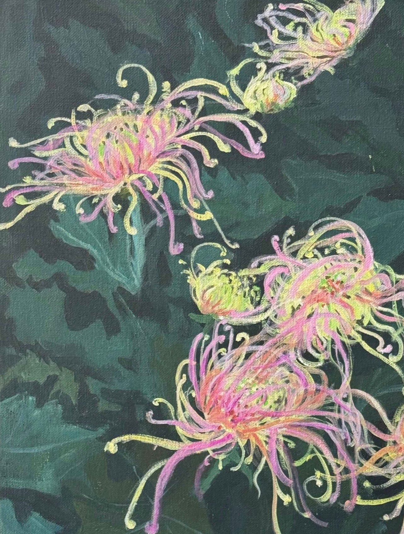 "Spider Chrysanthemum", Original Painting