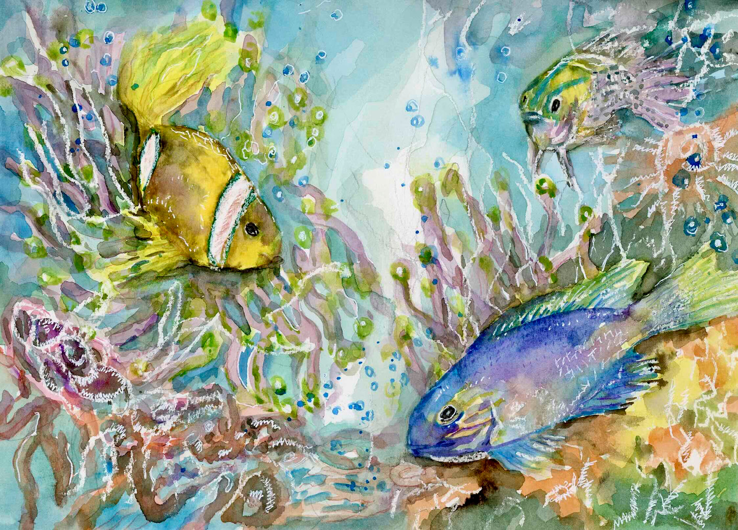 "Caribbean Fishes, I", Paper Print